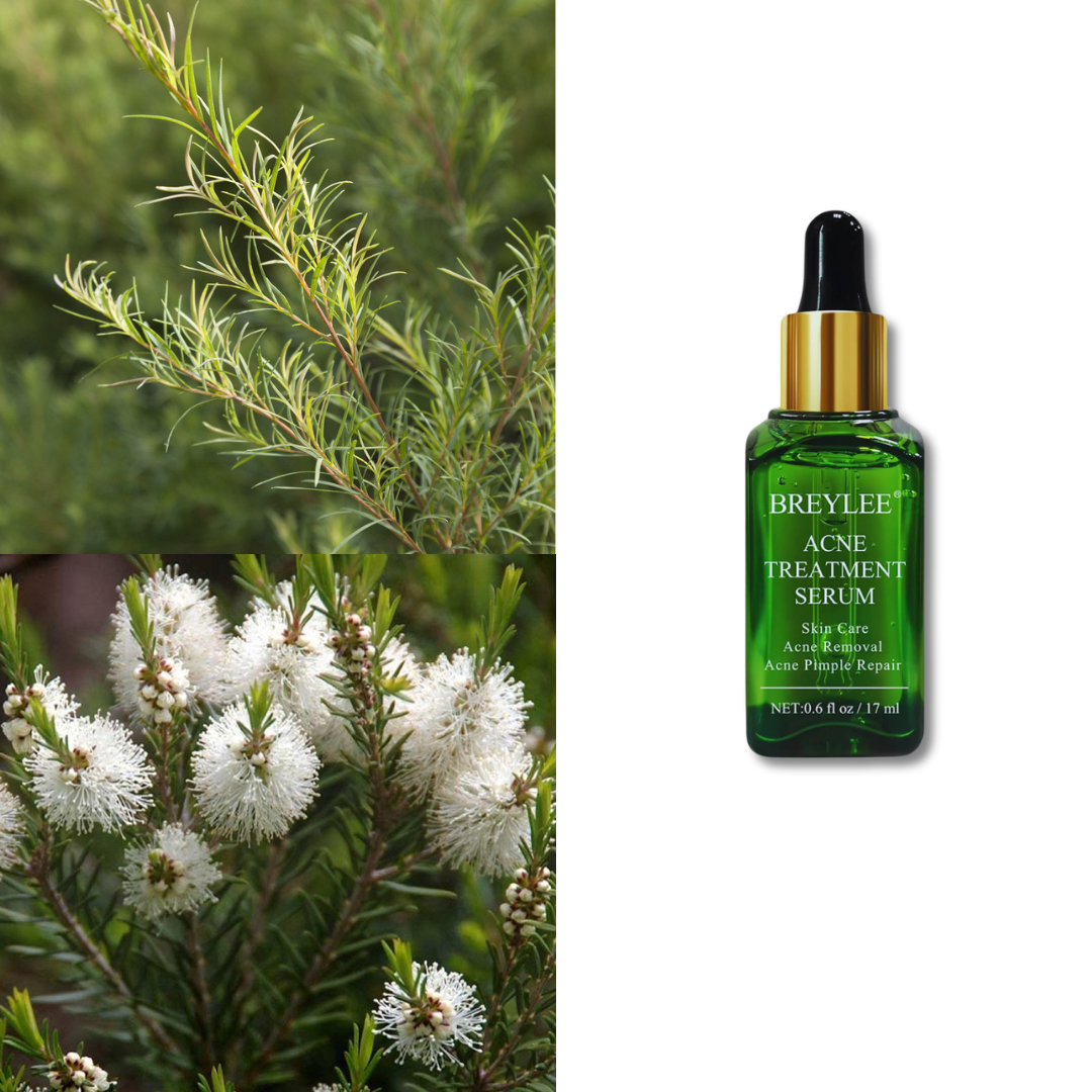 Tea Tree Acne Treatment Serum